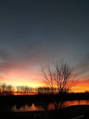 Meadows Park