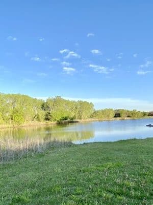 Meadows Park