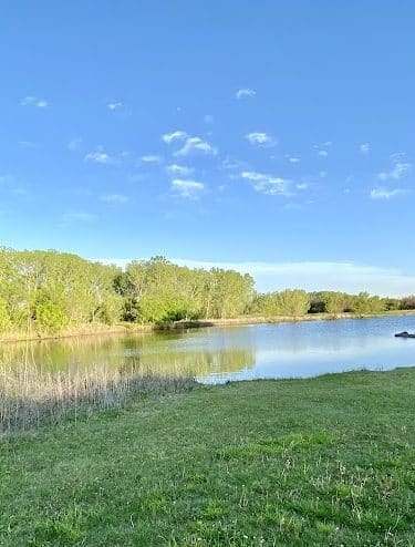 Meadows Park