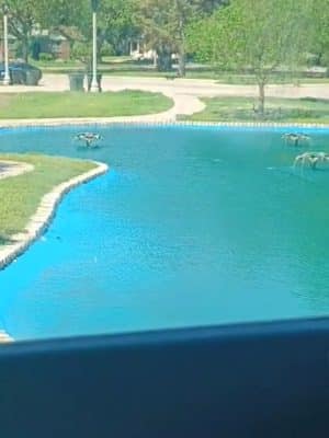 Park Villa - North Riverside park