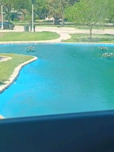 Park Villa - North Riverside park