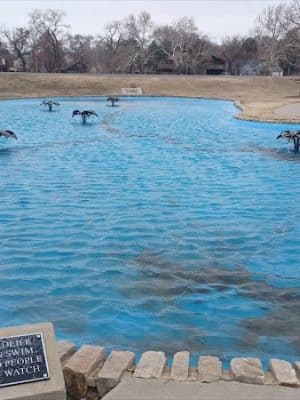 Park Villa - North Riverside park