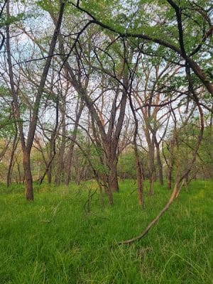 Pawnee Prairie Park