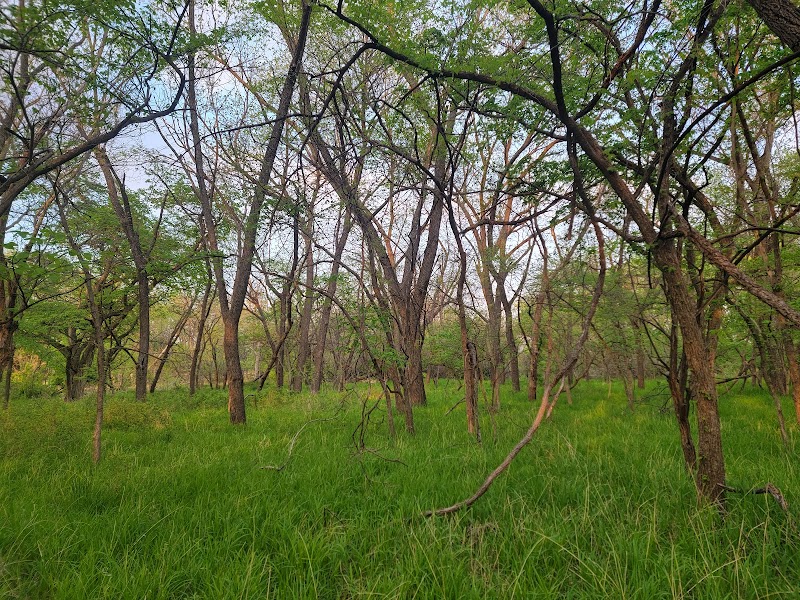 Pawnee Prairie Park - Wichita, KS
