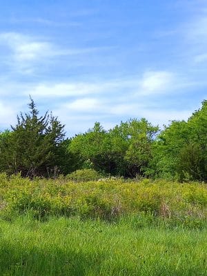 Pawnee Prairie Park