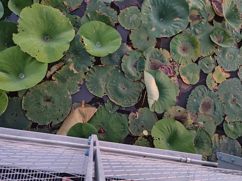 Pracht Wetlands Park - Wichita, KS