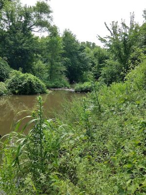 Sedgwick County Park