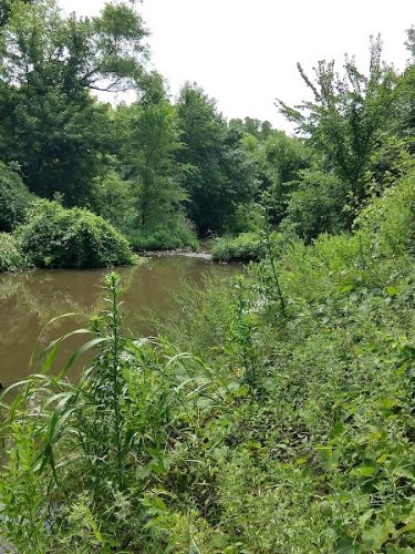 Sedgwick County Park