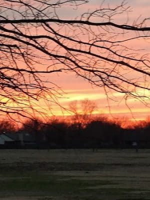 Sunset Park