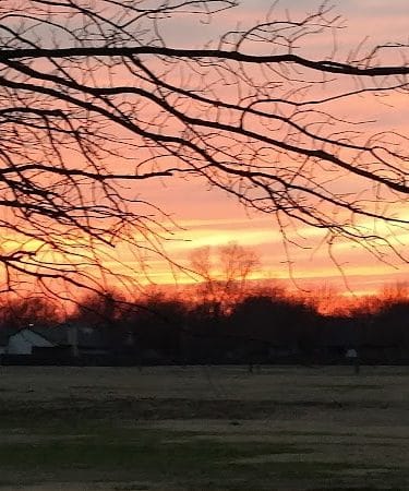Sunset Park