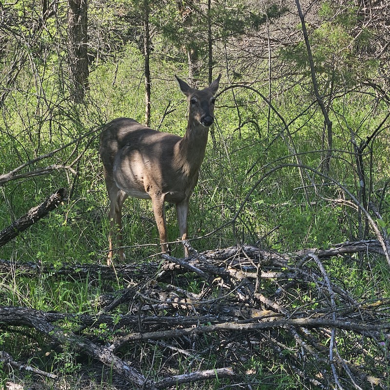 Swanson Park - Wichita, KS