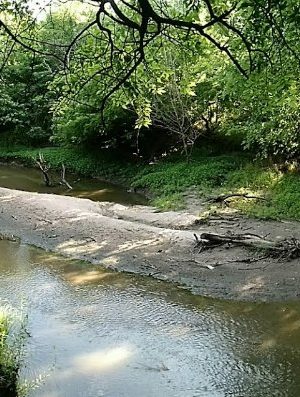 Swanson Park