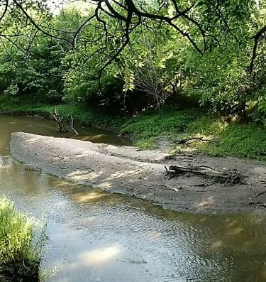 Swanson Park