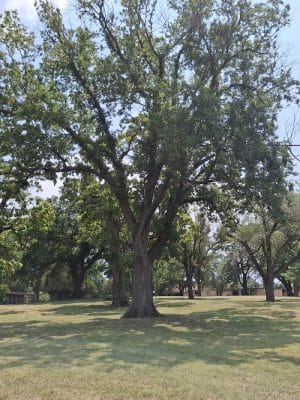 West Douglas Park