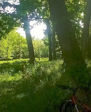 Recreation Park
