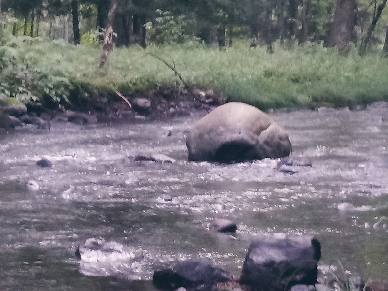River Road Park - Willington, CT