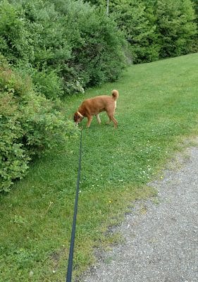 River Road Park