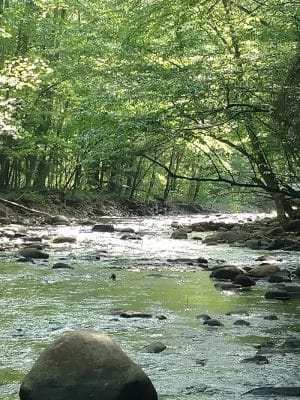 River Road Park