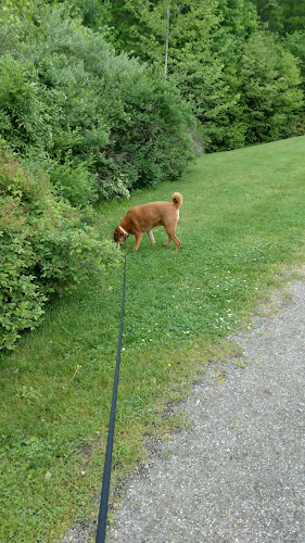 River Road Park