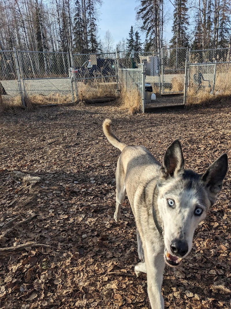 Willow Creek Dog Park - Willow, AK