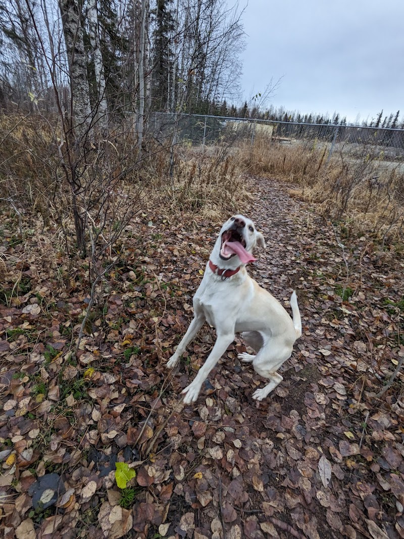Willow Creek Dog Park - Willow, AK