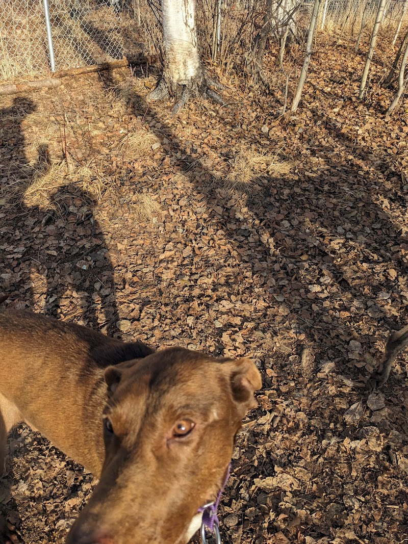 Willow Creek Dog Park - Willow, AK