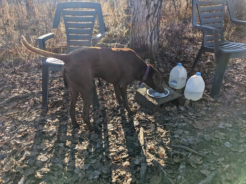 Willow Creek Dog Park - Willow, AK