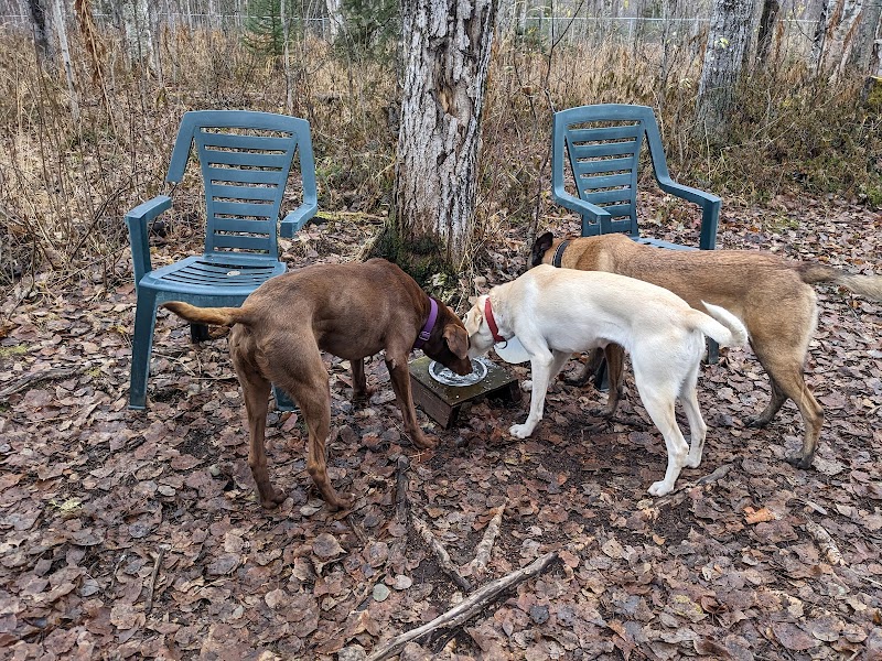 Willow Creek Dog Park - Willow, AK