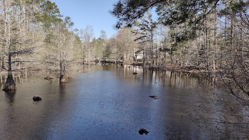 Abbey Nature Preserve - Wilmington, NC