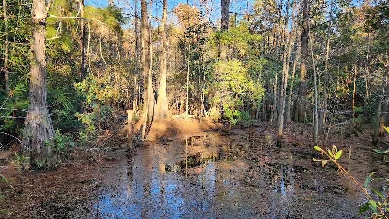 Hanover Pines Nature Park - Wilmington, NC