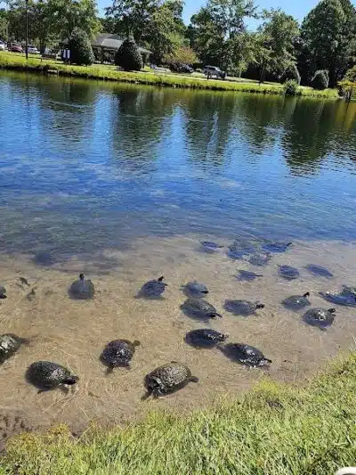 Ogden Park - Wilmington, NC