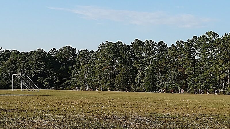 Olsen Park - Wilmington, NC