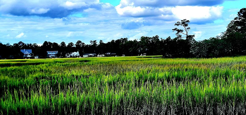 Pages Creek Park Preserve - Wilmington, NC