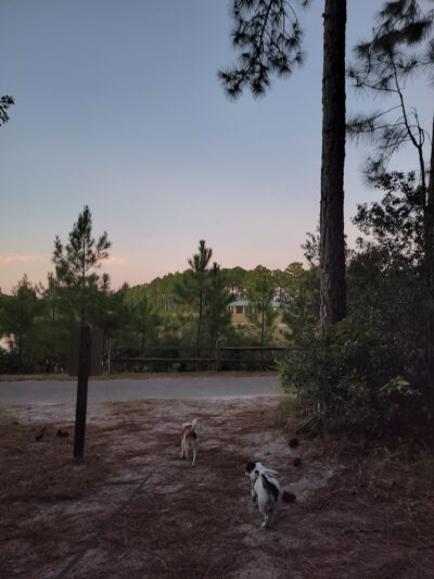 Park Preserve Trail - Wilmington, NC