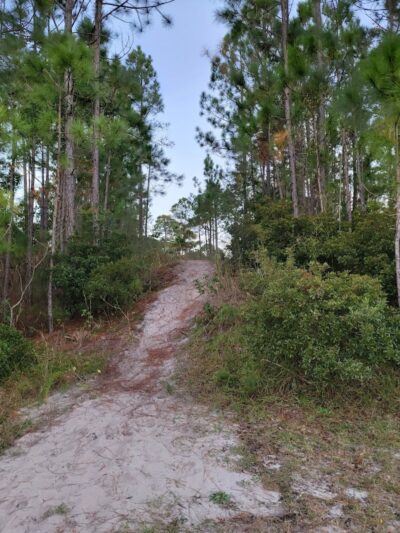 Park Preserve Trail - Wilmington, NC