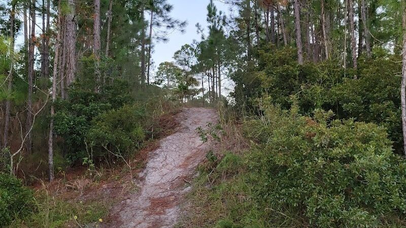 Park Preserve Trail - Wilmington, NC