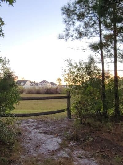 Park Preserve Trail - Wilmington, NC