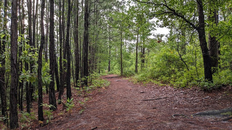 Smith Creek Park - Wilmington, NC