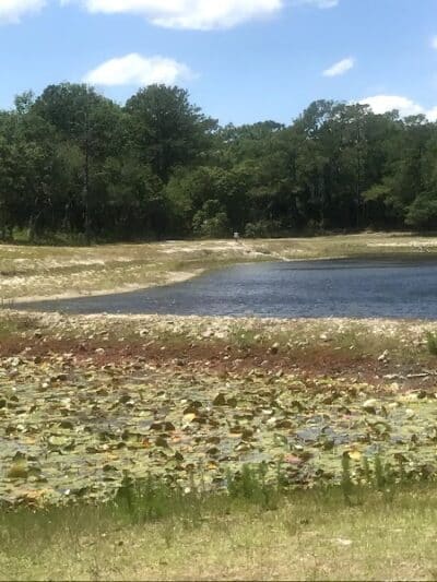 Veteran's Park - Nature Reserve and walking trails - Wilmington, NC