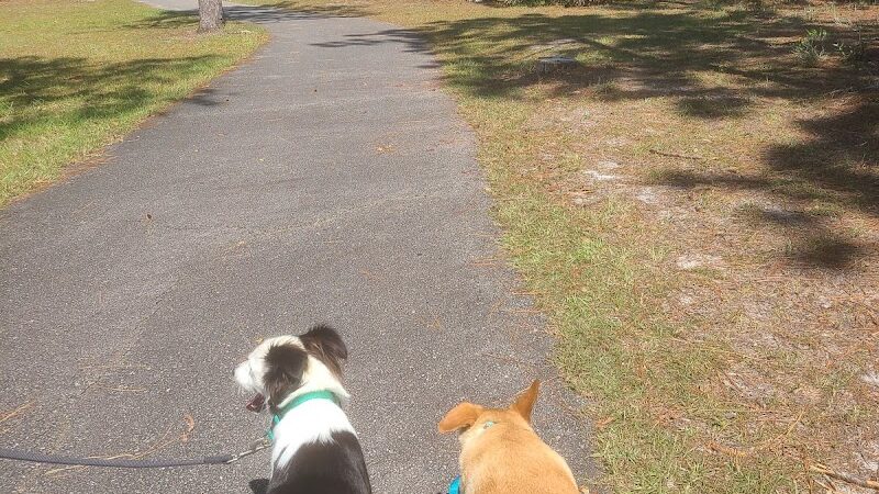 Veteran's Park - Nature Reserve and walking trails - Wilmington, NC