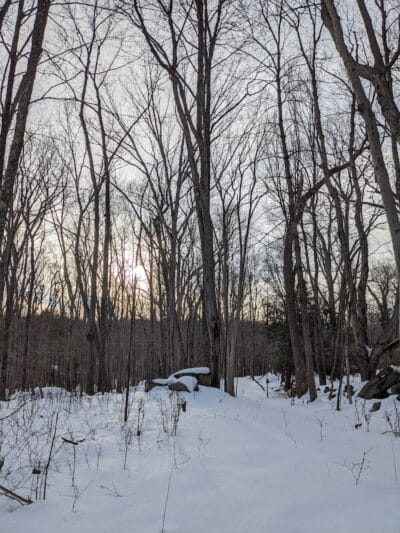 Norwalk River Valley Trail - North Parking - Wilton, CT