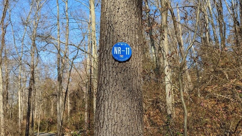 Norwalk River Valley Trail (NRVT) - Wilton, CT