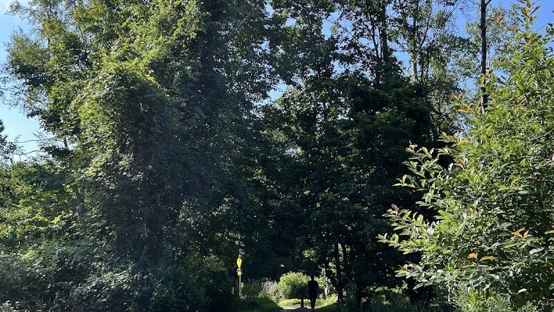Norwalk River Valley Trail (NRVT) - Wilton, CT