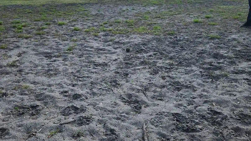 Dog Park - Wimauma, FL