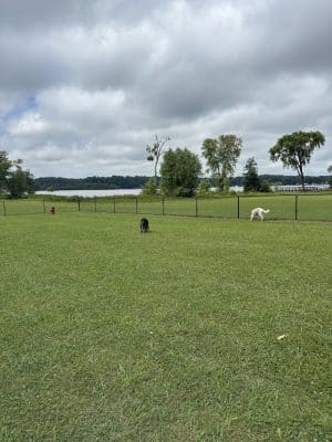 Winchester Dog Park