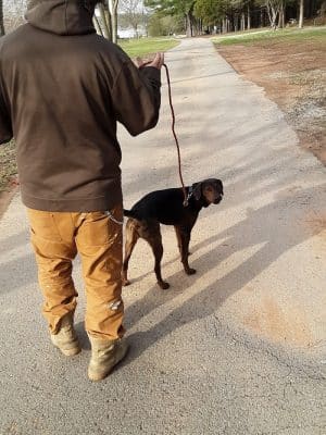 Winchester Dog Park