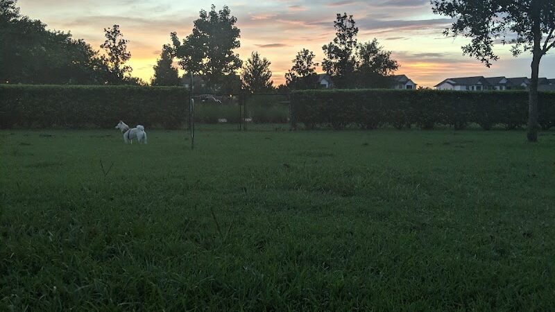 Vineyard Square Bark Park - Windermere, FL
