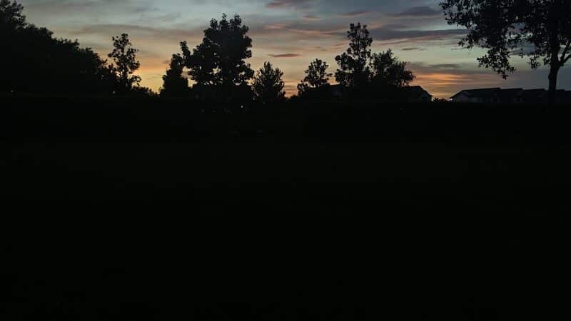 Vineyard Square Bark Park - Windermere, FL