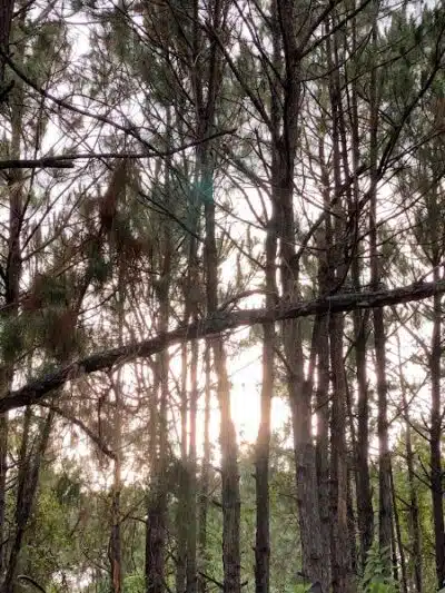 Summerport Park - Windermere, FL