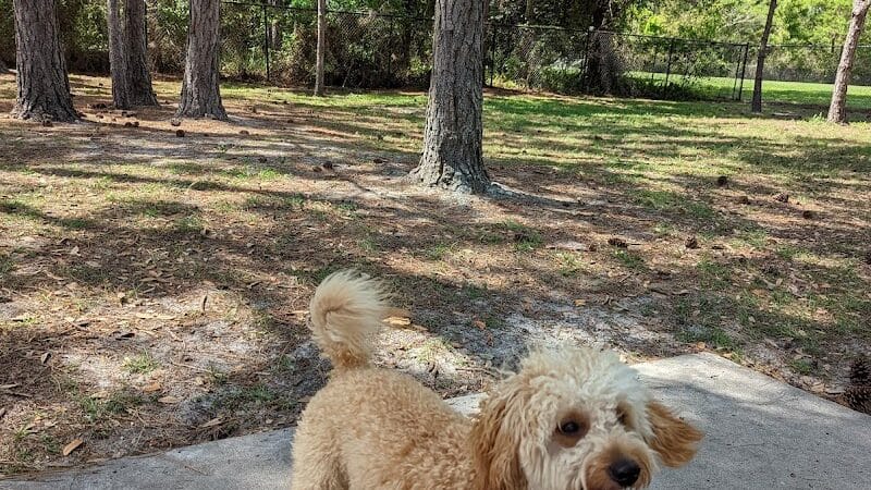 Summerport Park - Windermere, FL